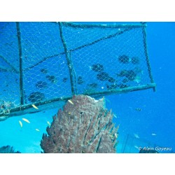 Triple Torsion Galvanisé 38mm